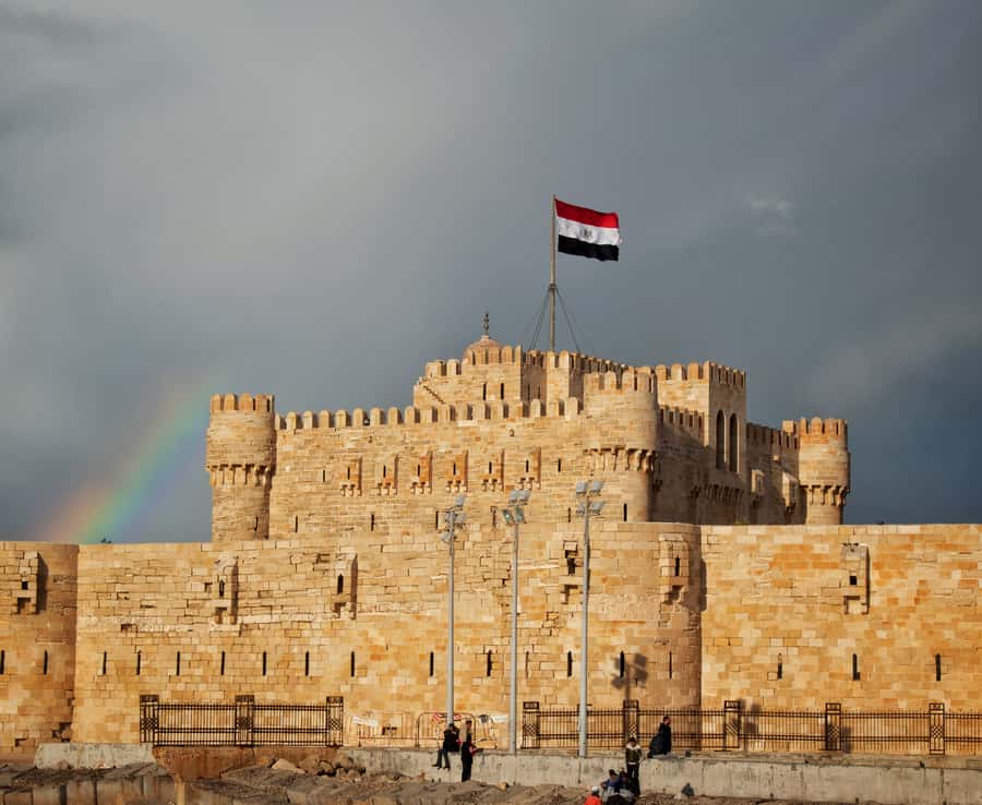 From Alexandria: Highlights of Alexandria Full City Tour - Qaitbay Fort and the old harbor