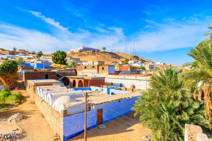 From Aswan: Philae Temple & Motorboat Tour to Nubian Village - Guides can make or break this outing