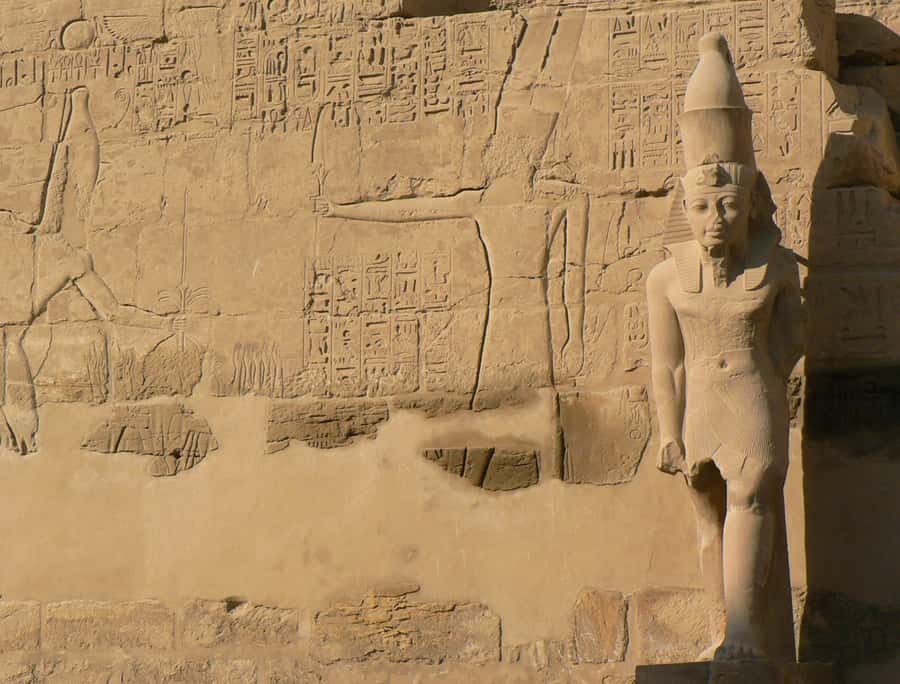 From Cairo: 5-Day Tour with Nile Cruise, Balloon, & Flights - Day 5: Balloon views, royal tombs, and Karnak