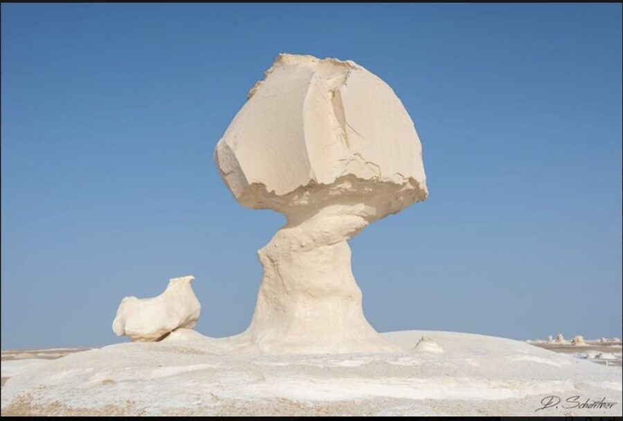 From Cairo: Bahariya Oasis and Black and White Desert Tour - Key points to know before you book