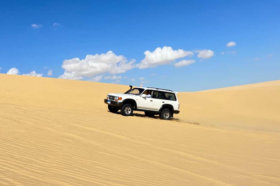 From Cairo: Desert Safari, Camel Ride, Magic Lake, & Lunch - Key points to know before booking