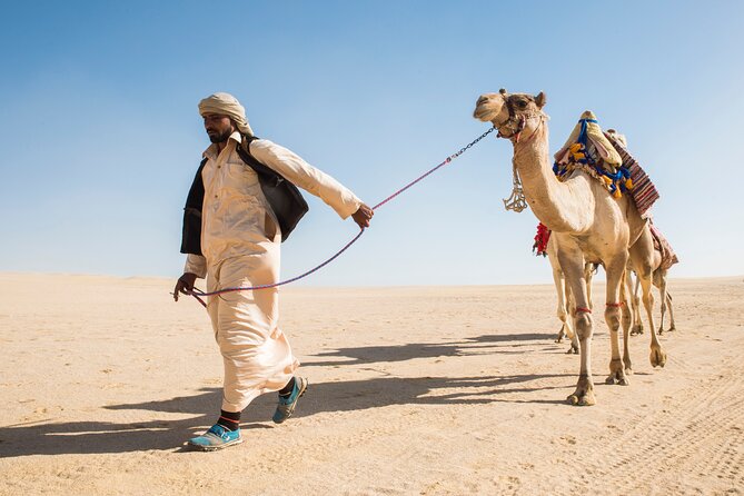 From Cairo: Desert Safari, Waterfalls, Sand boarding and Camel ride with Lunch - Leaving Cairo for Wadi El Rayan