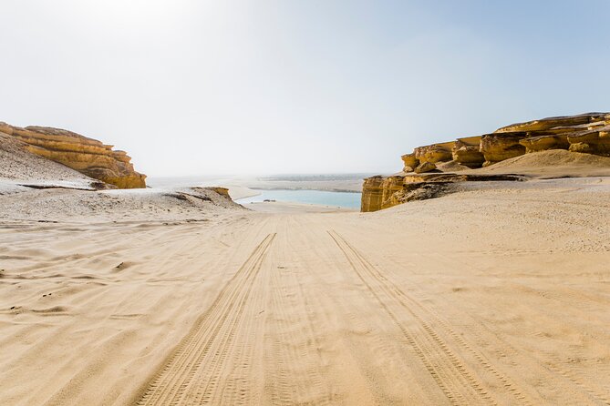 From Cairo: Desert Safari, Waterfalls, Sand boarding and Camel ride with Lunch - Camel Riding in the Open Desert