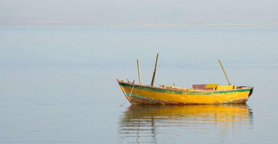 From Cairo: Fayoum Oasis and Wadi Al Rayan Guided Tour - Who should choose this Fayoum day trip