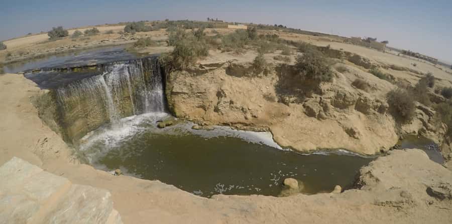From Cairo: Fayoum Oasis and Wadi Al Rayan Guided Tour - Karanis and Fayoum Museum: the ancient side of the day