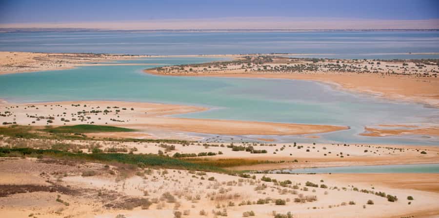 From Cairo: Fayoum Oasis and Wadi Al Rayan Guided Tour - Guide quality and language choice