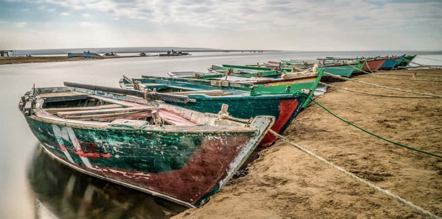 From Cairo: Fayoum Oasis and Wadi Al Rayan Guided Tour - Lunch, costs, and the $161 decision