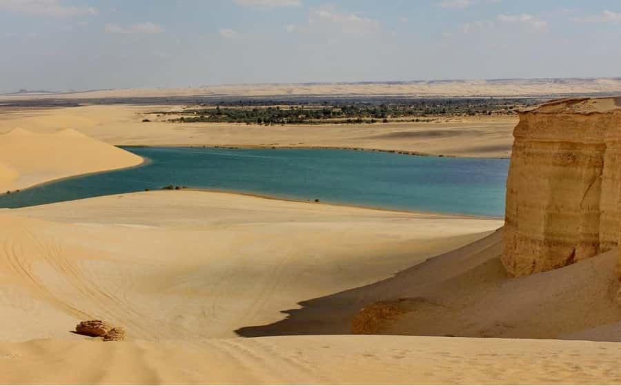 From Cairo: Full-Day Tour to El Fayoum - Tunis Village and the first view of the oasis