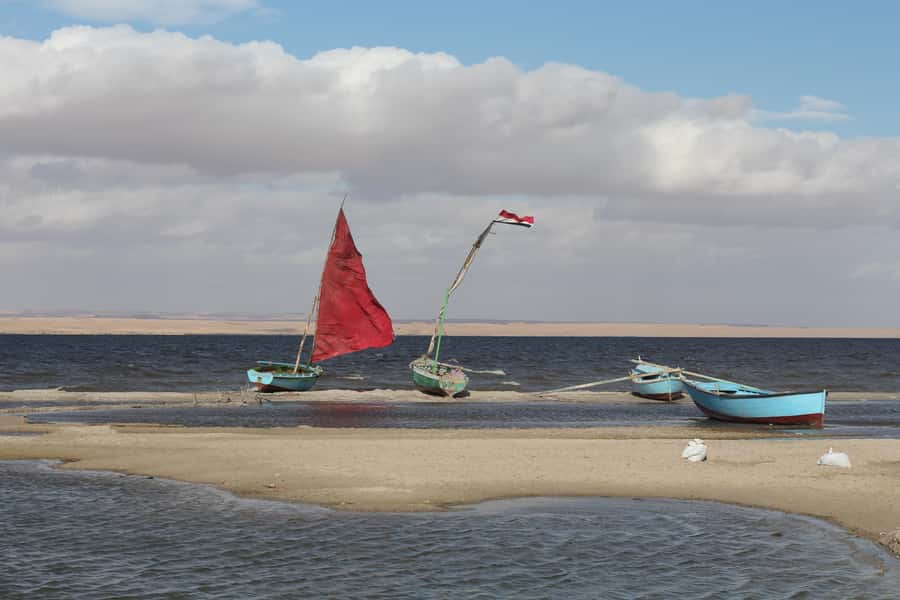 From Cairo: Full-Day Tour to El Fayoum - Qarun Lake and the water in the desert