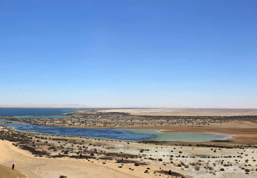 From Cairo: Full-Day Tour to El Fayoum - The 4x4 ride, sand dunes, and Magic Lake