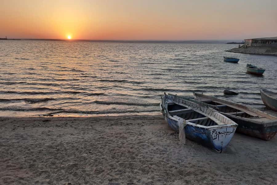 From Cairo: Full-Day Tour to El Fayoum - Lunch at the desert camp