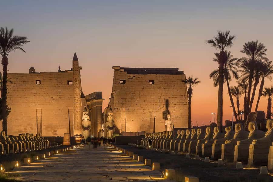 From Cairo: Private All-Inclusive Tour of Luxor by Plane - The private guide is the real value