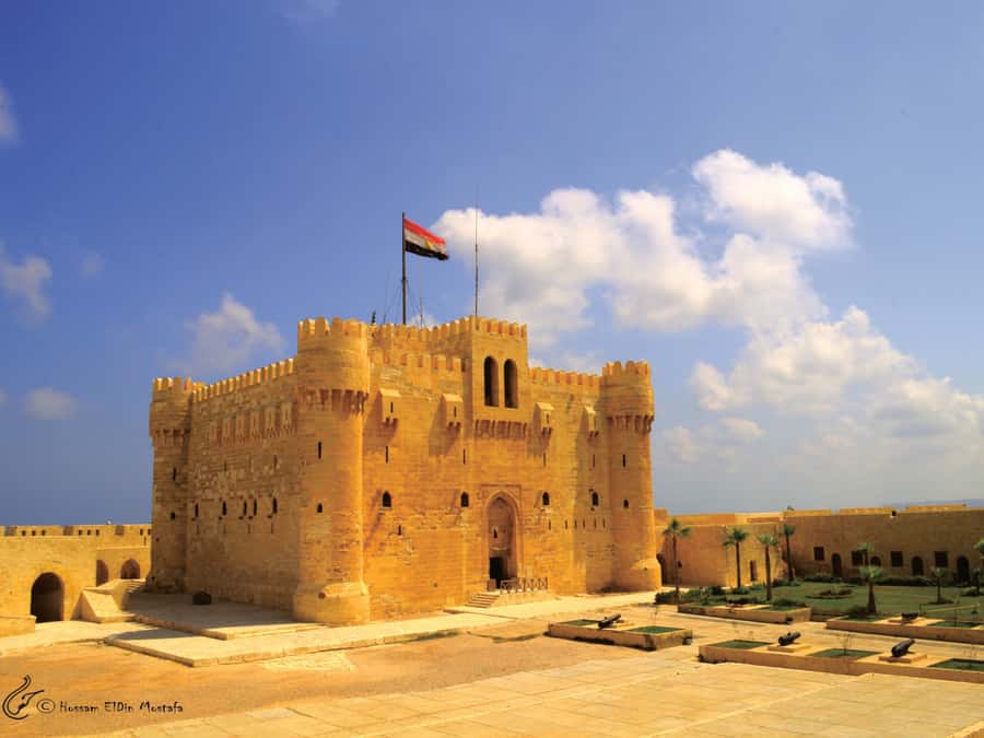 From Cairo: Private Full-Day Tour of Historical Alexandria - Lunch, local dishes, and what to expect