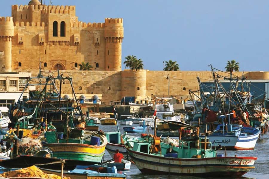 From Cairo: Private Full-Day Tour of Historical Alexandria - The Cairo pickup and three-hour road trip