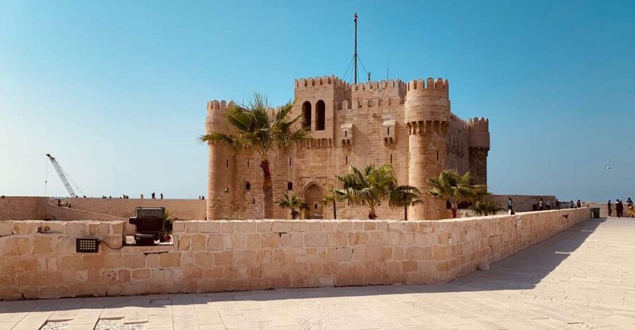 From Cairo: Private Luxurious Day Trip to Alexandria - Guide quality and language choices