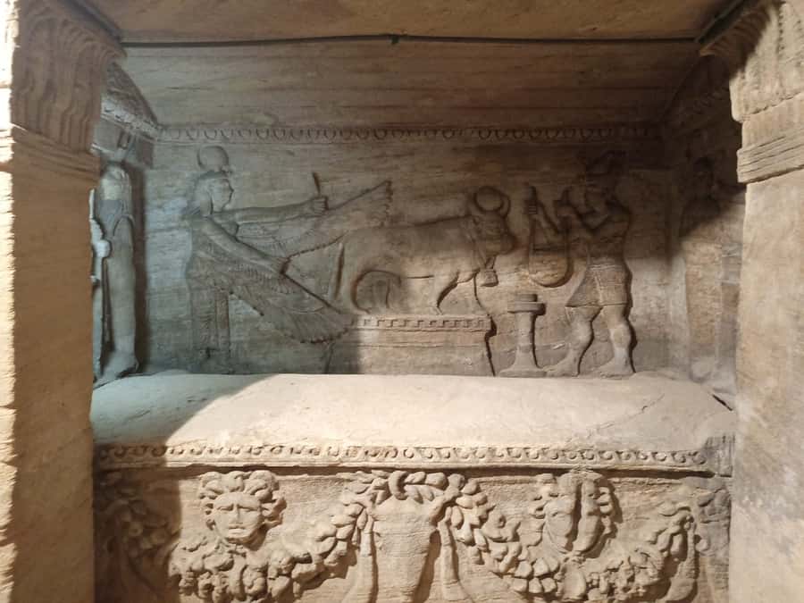 From Cairo: Private Luxurious Day Trip to Alexandria - Pompey’s Pillar and the Serapeum