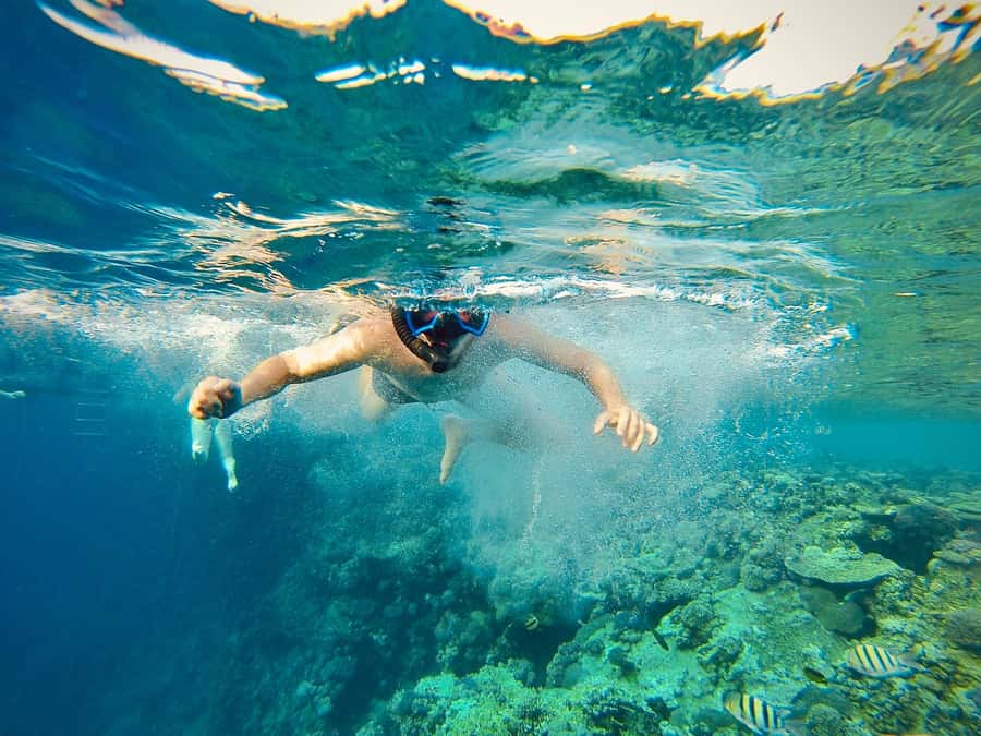 From Cairo: Snorkeling Trip on Yacht with Lunch - Boarding a shared yacht at Ain Sokhna