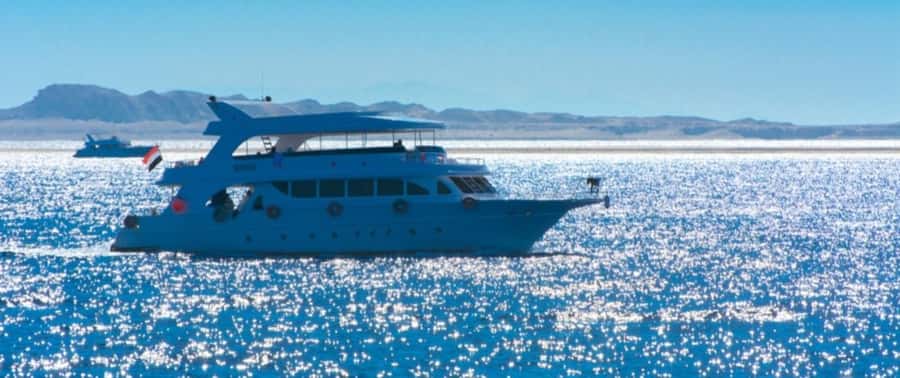 From Cairo: Snorkeling Trip on Yacht with Lunch - Lunch on board, with a useful range of choices