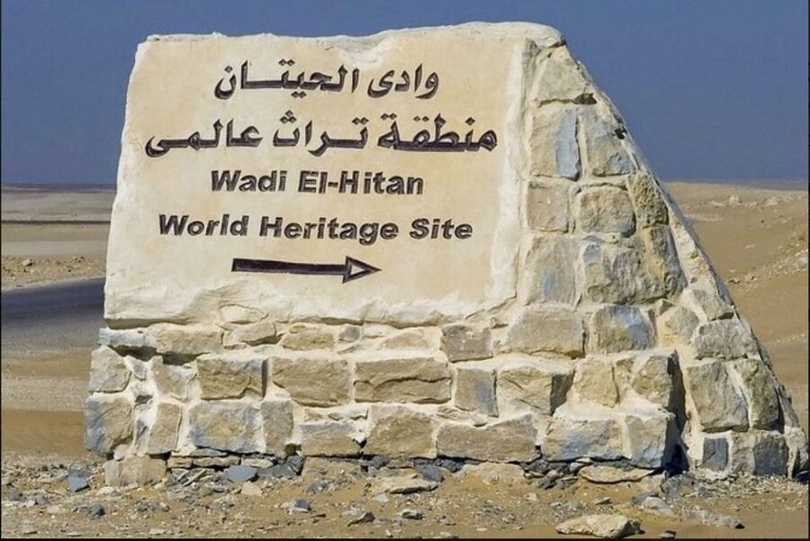 From Cairo: Whale Valley and Wadi El Rayan Waterfalls Tour - Qarun Lake, saltwater beside the desert