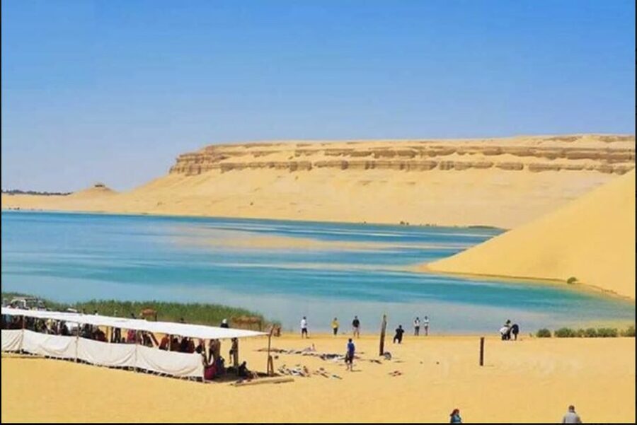 From Cairo: Whale Valley and Wadi El Rayan Waterfalls Tour - Lunch in a local camp