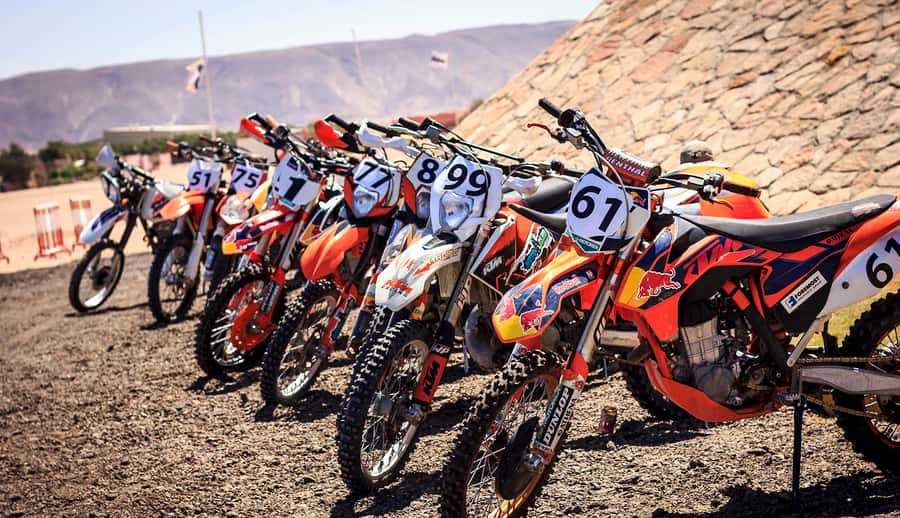 From Hurghada: El Gouna Quad and MX Bike Safari Tour - Is $134 a fair price?