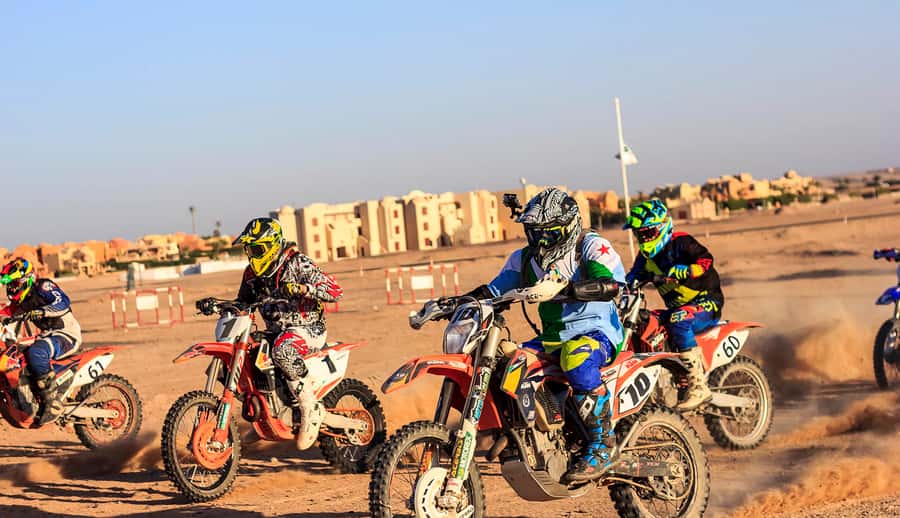 From Hurghada: El Gouna Quad and MX Bike Safari Tour - Who will get the most from this ride?