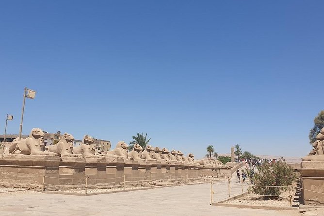 From Hurghada Individual excursion to Luxor & the Valley of the Kings - Is $221 a fair price?