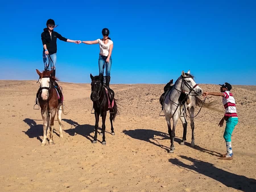 From Hurghada: Makadi Bay Horse Riding Tour - Guides, group size, and the human side of the ride