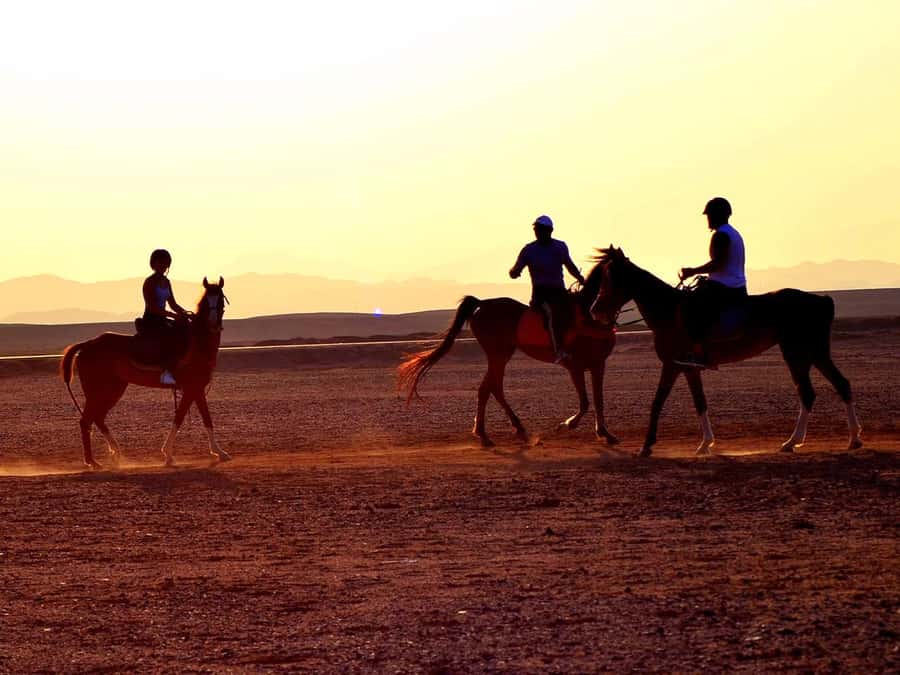 From Hurghada: Makadi Bay Horse Riding Tour - What happens when you arrive at the horse base
