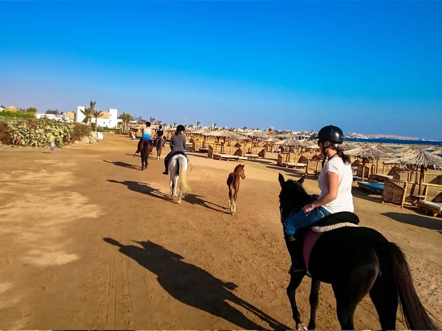 From Hurghada: Makadi Bay Horse Riding Tour - Horse selection, instructions, and riding pace