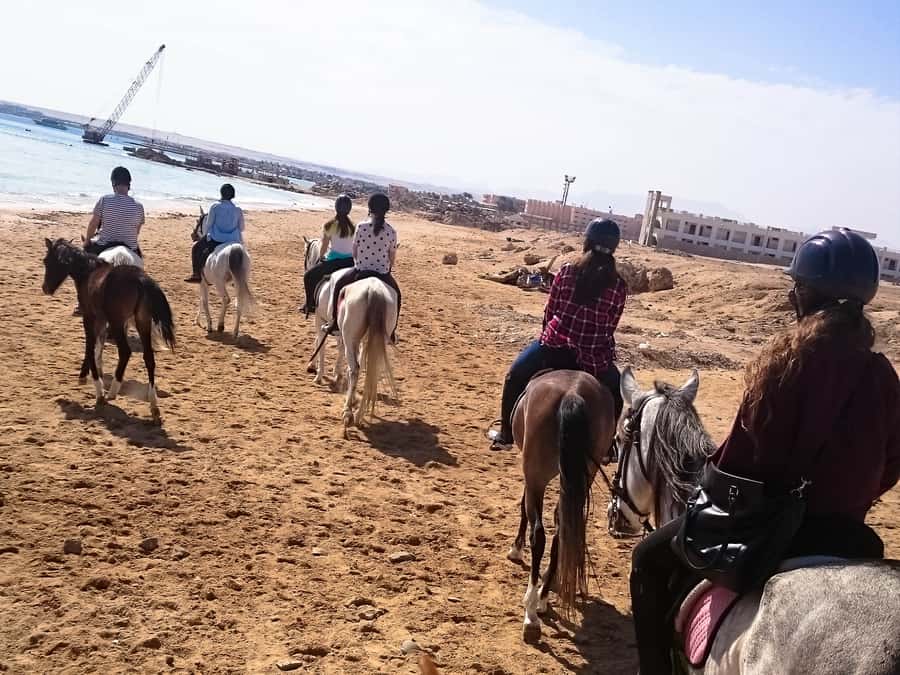 From Hurghada: Makadi Bay Horse Riding Tour - The standard two-hour ride