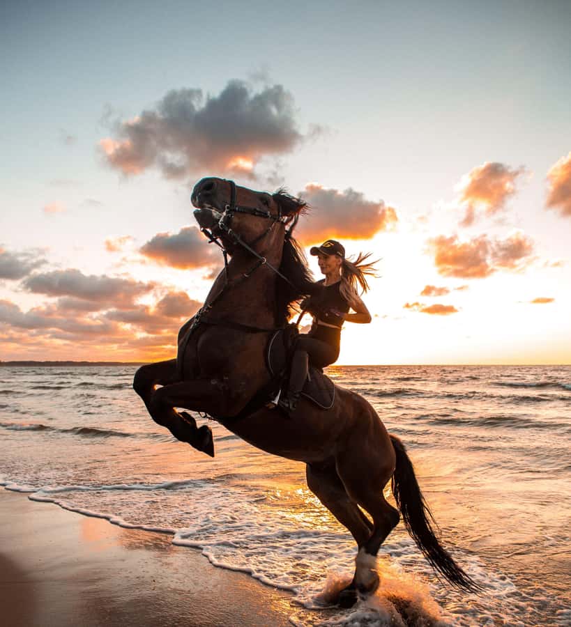 From Hurghada: Makadi Bay Horse Riding Tour - Sunrise breakfast and the sunset dinner option