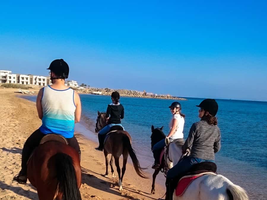 From Hurghada: Makadi Bay Horse Riding Tour - The quad-bike and horse-riding combination