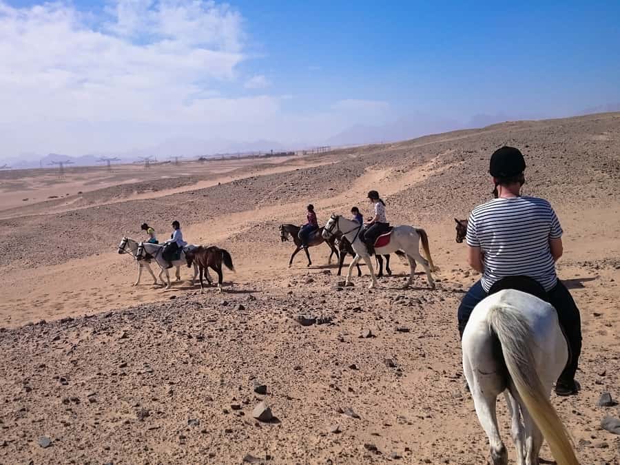 From Hurghada: Makadi Bay Horse Riding Tour - The four-hour VIP ride with a Red Sea swim