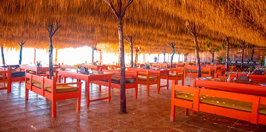 From Hurghada: Paradise Island Snorkeling Cruise with Lunch - Transfers make the long day easier