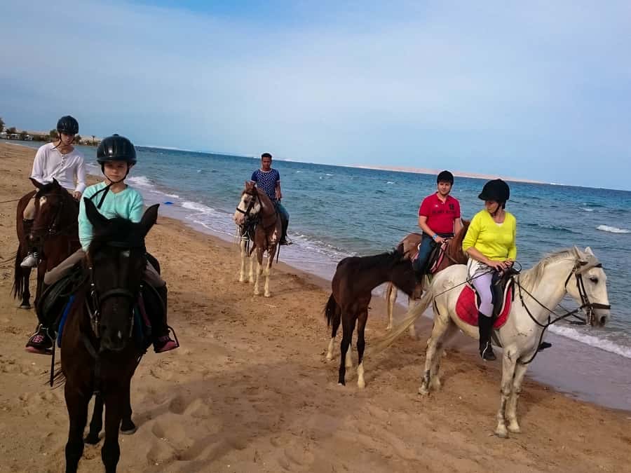 From Hurghada: Red Sea Sunrise and Desert Horseback Riding - Choosing the right departure time