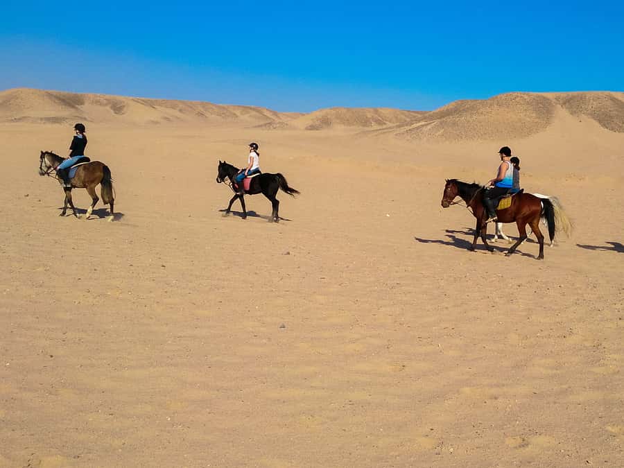 From Hurghada: Red Sea Sunrise and Desert Horseback Riding - The VIP swim stop