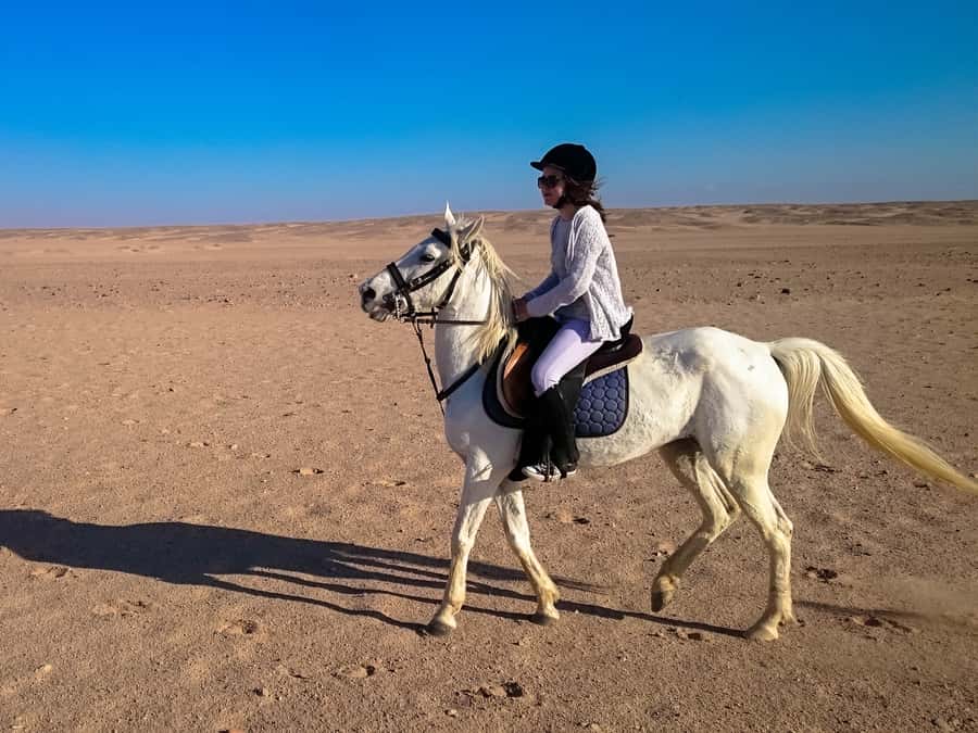 From Hurghada: Red Sea Sunrise and Desert Horseback Riding - Practical preparation for desert riding