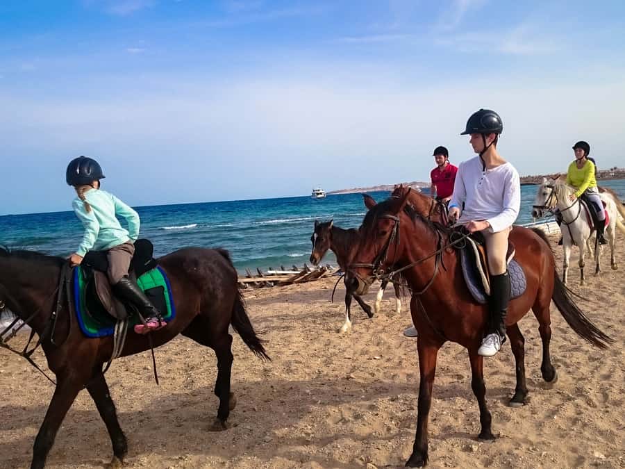 From Hurghada: Red Sea Sunrise and Desert Horseback Riding - What makes this ride worth considering