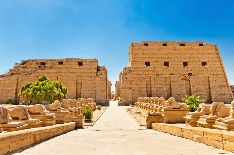 From Luxor: 3-Night Nile Cruise to Aswan and Hot Air Balloon - Guides, communication, and the private-tour advantage