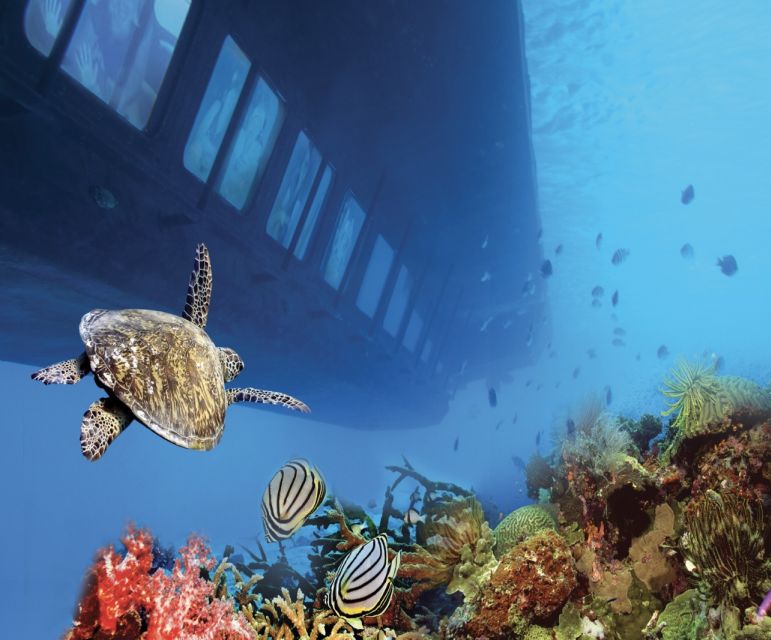 From Safaga: Royal Seascope Submarine with Snorkeling - The Makadi Bay snorkeling stop