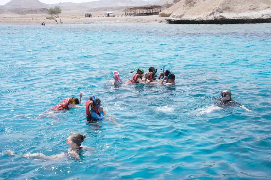 From Sharm: Half day Snorkeling Trip with Lunch - Pickup, Marina Fees, and the Morning Schedule