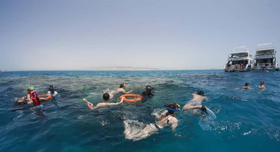 From Sharm: Half day Snorkeling Trip with Lunch - Should You Book the Yolanda Reef Trip?