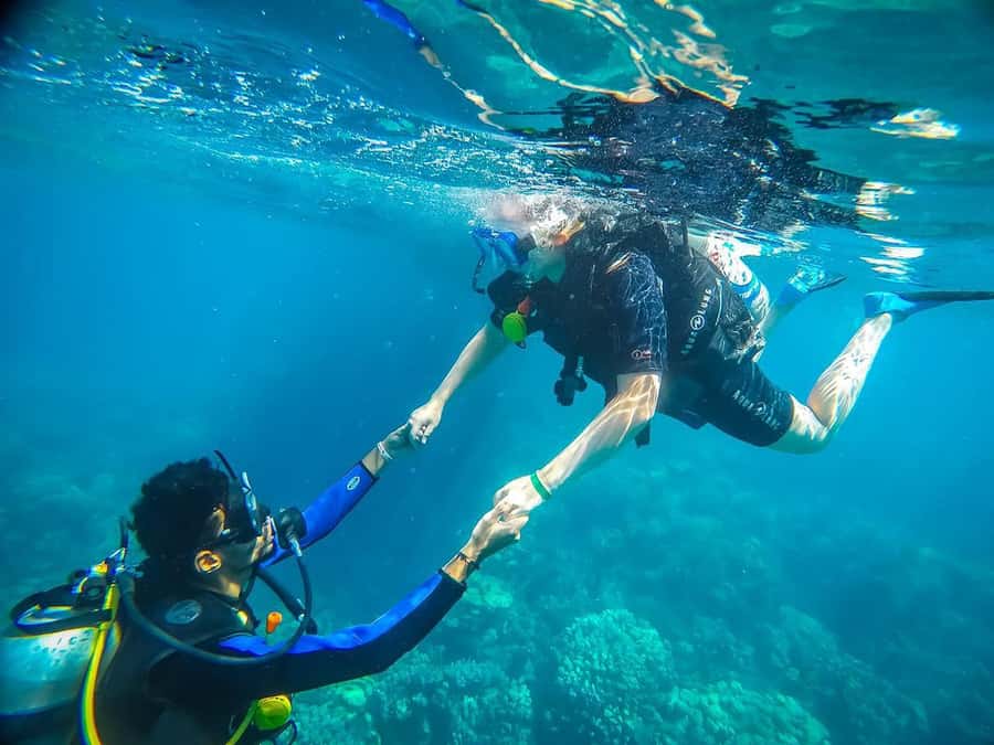 From Sharm: Luxury Diving cruise to Ras Mohammed with Lunch - Key points to know before booking