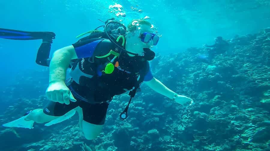 From Sharm: Luxury Diving cruise to Ras Mohammed with Lunch - The $54 price and the extras