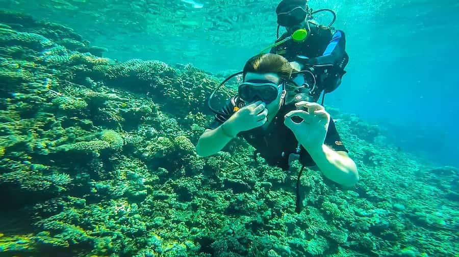 From Sharm: Luxury Diving cruise to Ras Mohammed with Lunch - Who should choose this trip