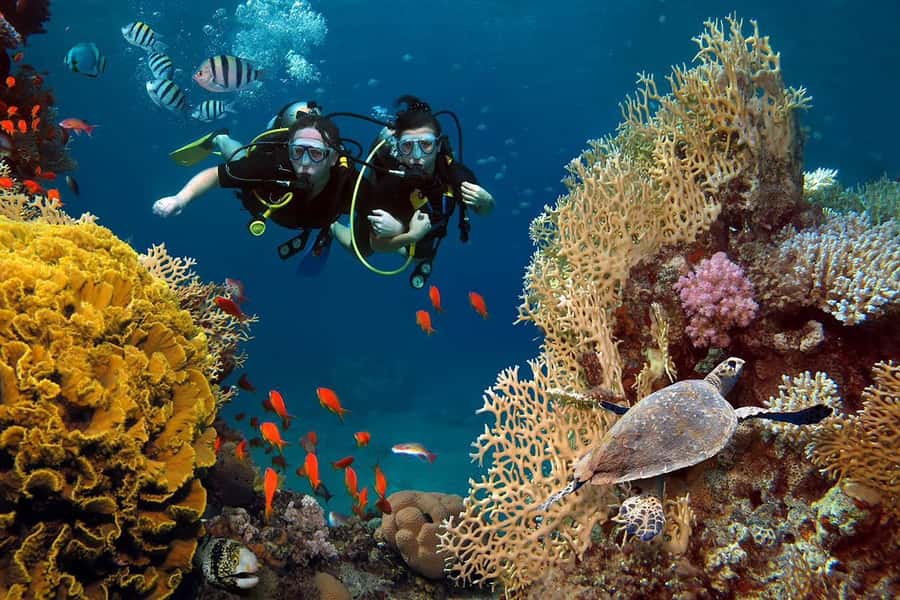 From Sharm: Luxury Diving cruise to Ras Mohammed with Lunch - Small details that improve the day