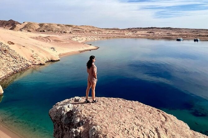 From Sharm: Ras Mohamed National Park and Magic Lake Day Tour - Mangroves growing in saltwater