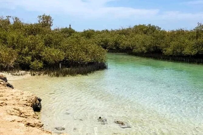 From Sharm: Ras Mohamed National Park and Magic Lake Day Tour - Magic Lake and the saltwater swim