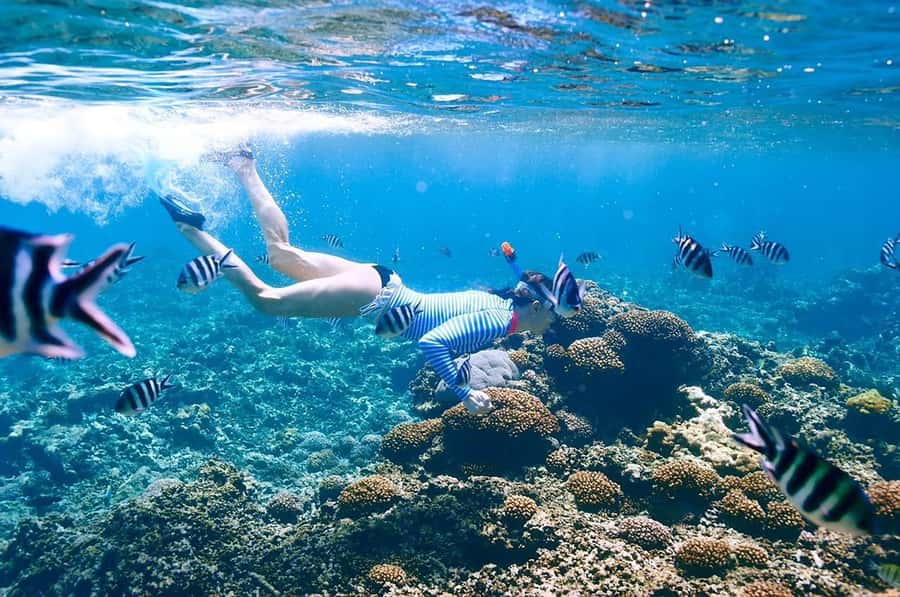 From Sharm: Ras Mohammed snorkeling cruise & optional diving - Small details that make the day easier